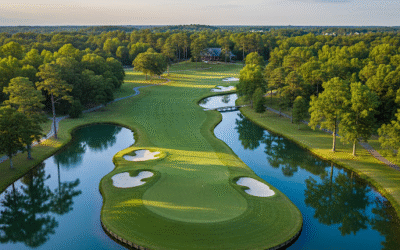 Bayonet at Puppy Creek – 2025